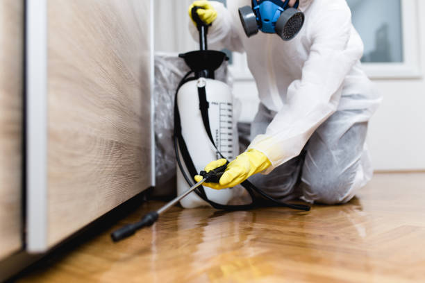 Reliable Ravensworth, VA Pest Control Solutions