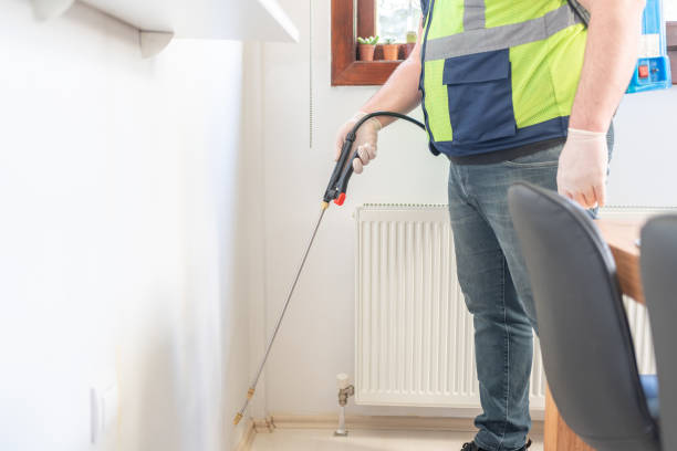 Best Termite Control Services  in Ravensworth, VA