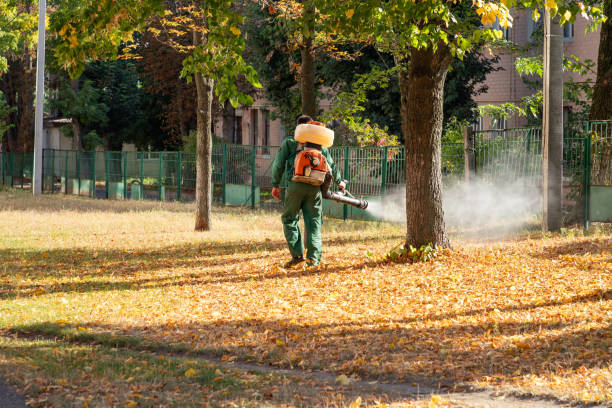 Best Emergency Pest Control  in Ravensworth, VA